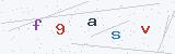 Enter the characters shown